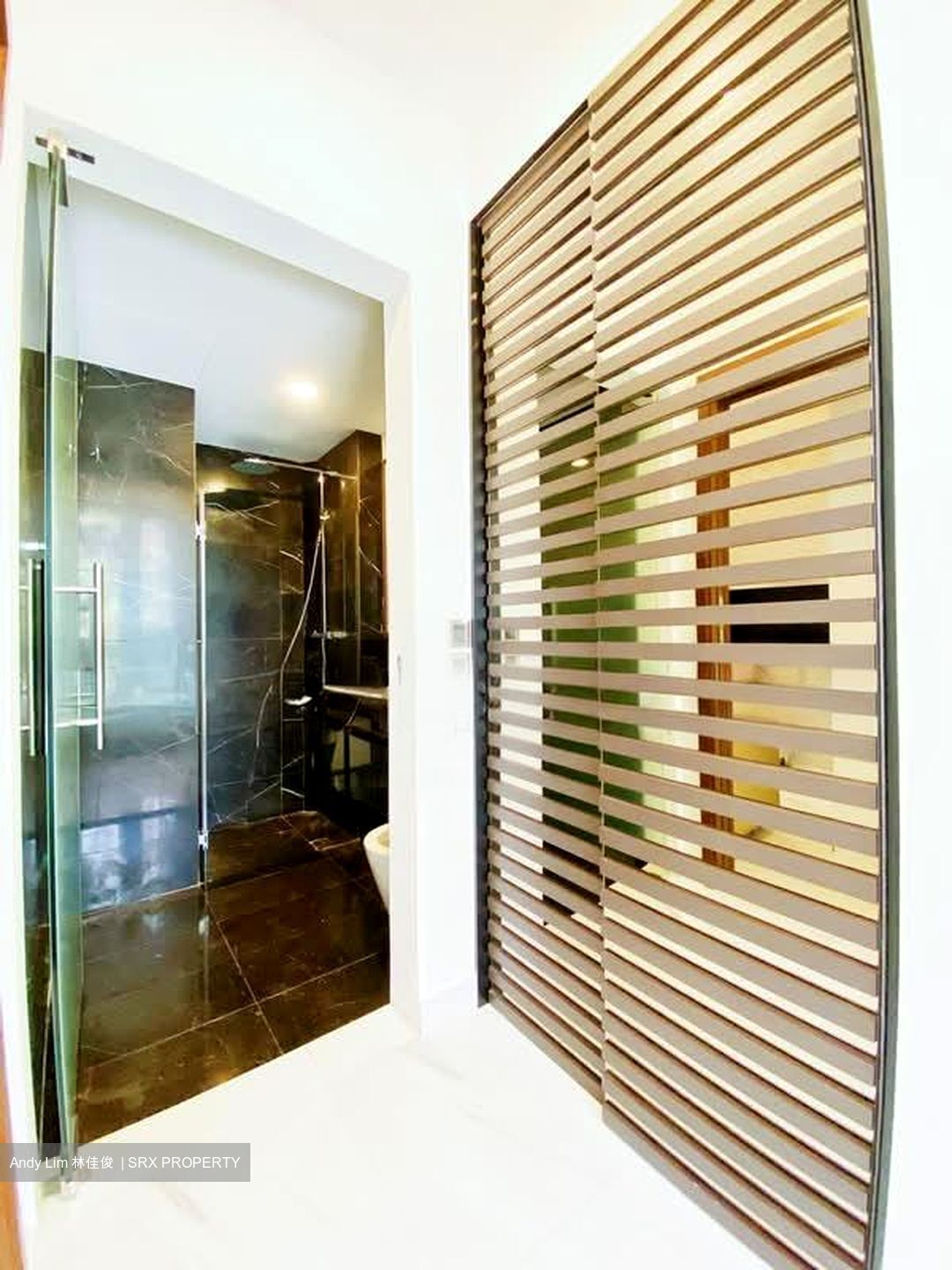 Devonshire 12 (D9), Apartment #568655921